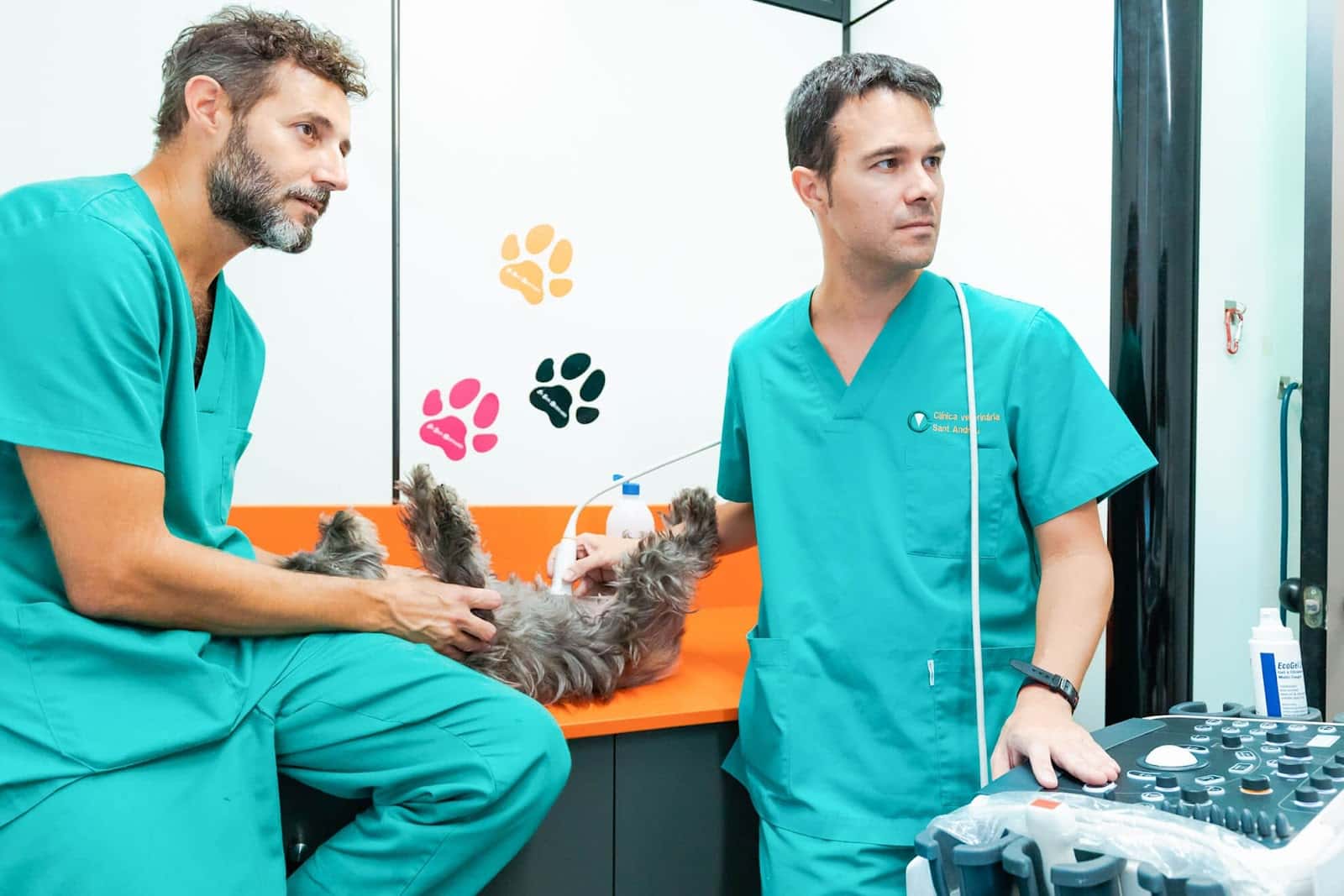 Clínica Veterinaria Sant Andreu