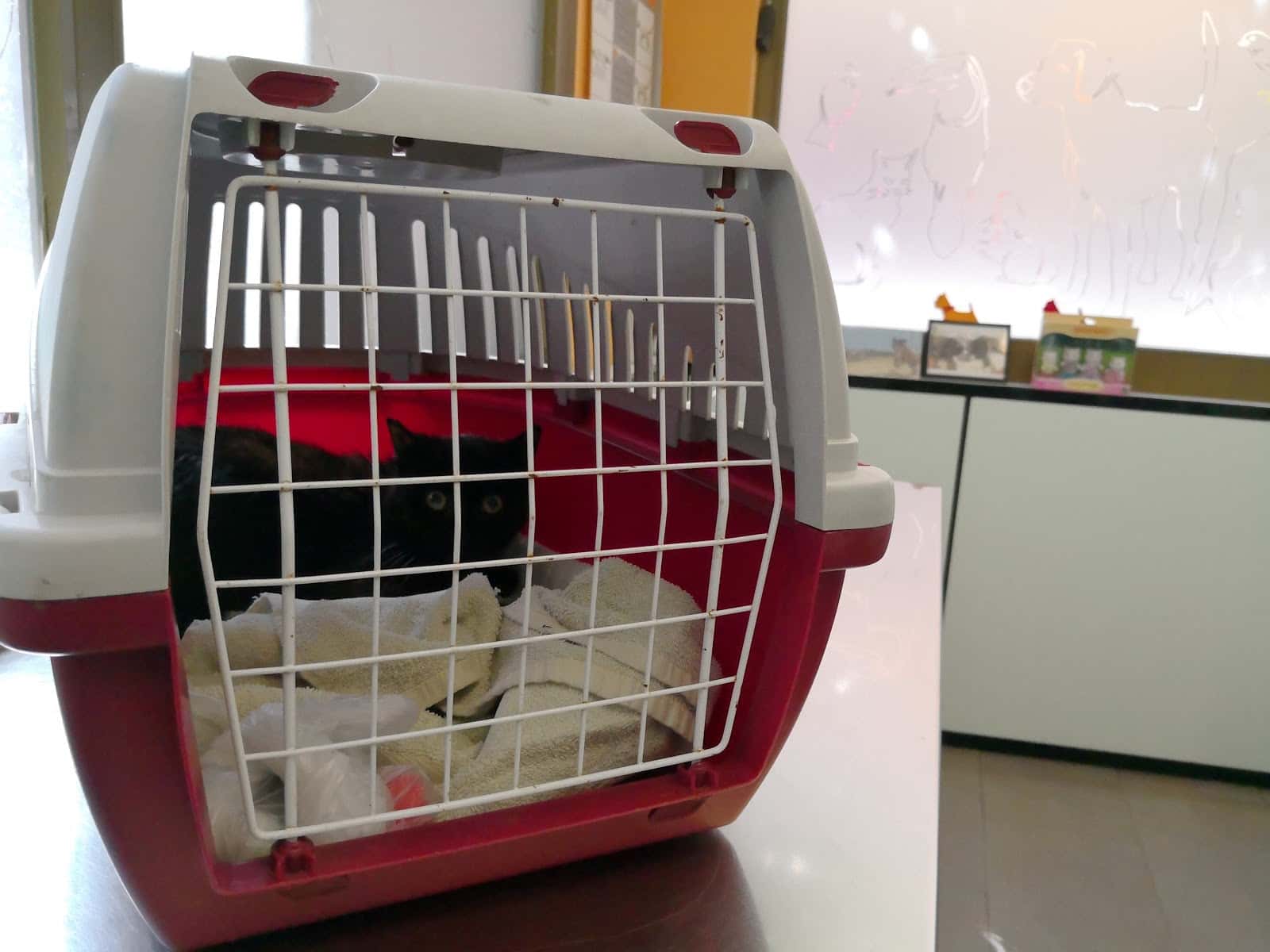 Clínica Veterinaria Sant Andreu