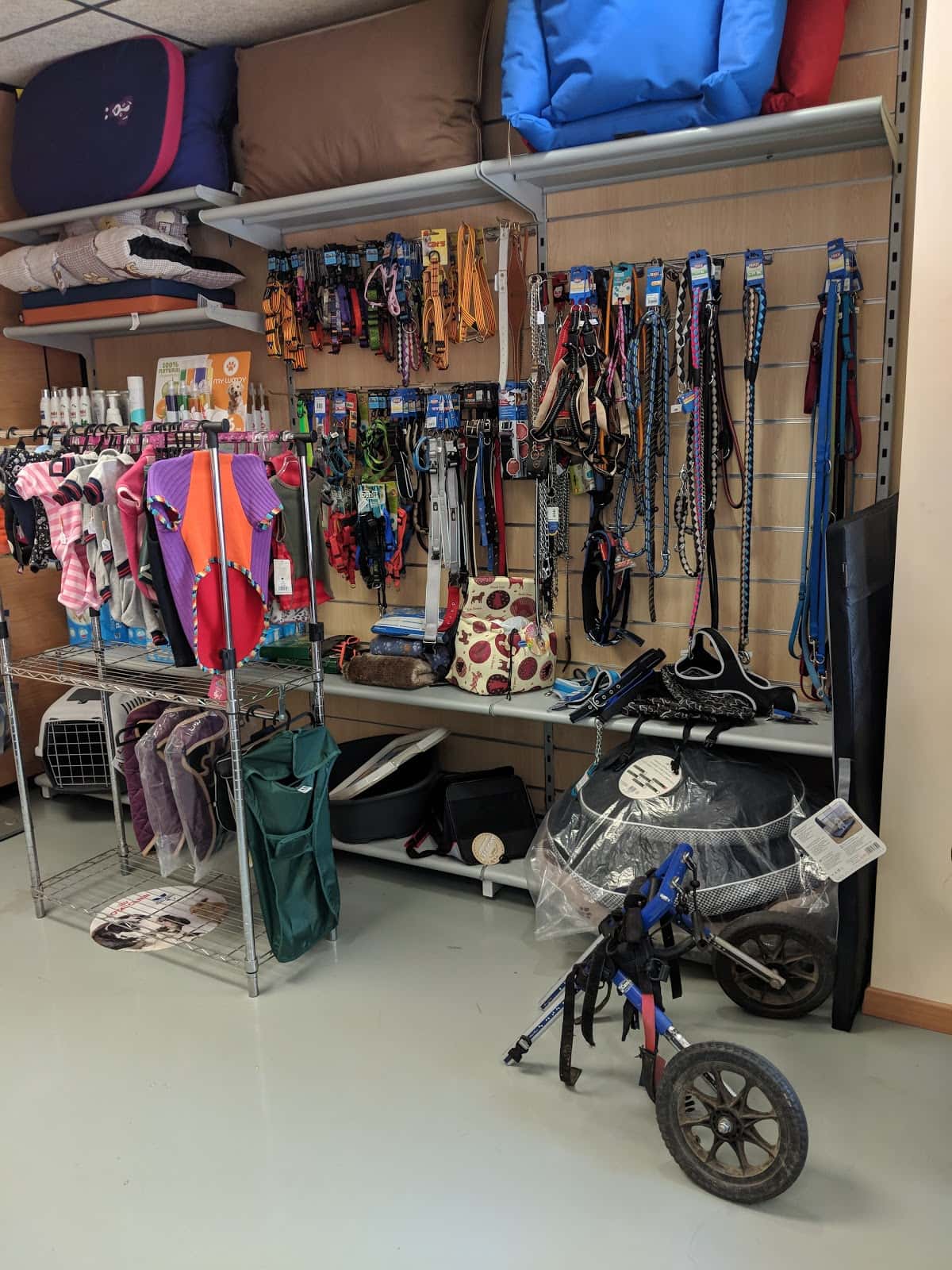 campdevet veterinario centro en campdevanol en girona principalImage ADOPTA Sitios Pet Friendly