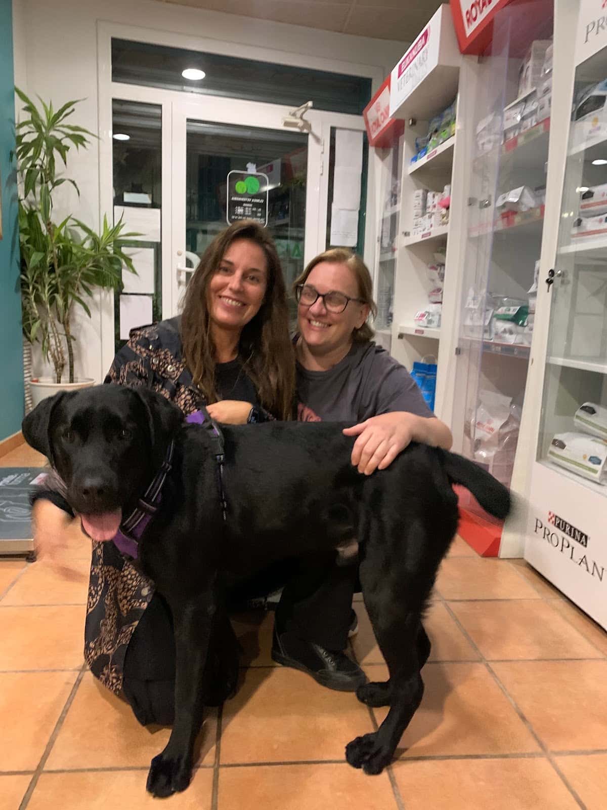 amunt veterinaria veterinario centro en arenys de munt en barcelona principalImage ADOPTA Sitios Pet Friendly