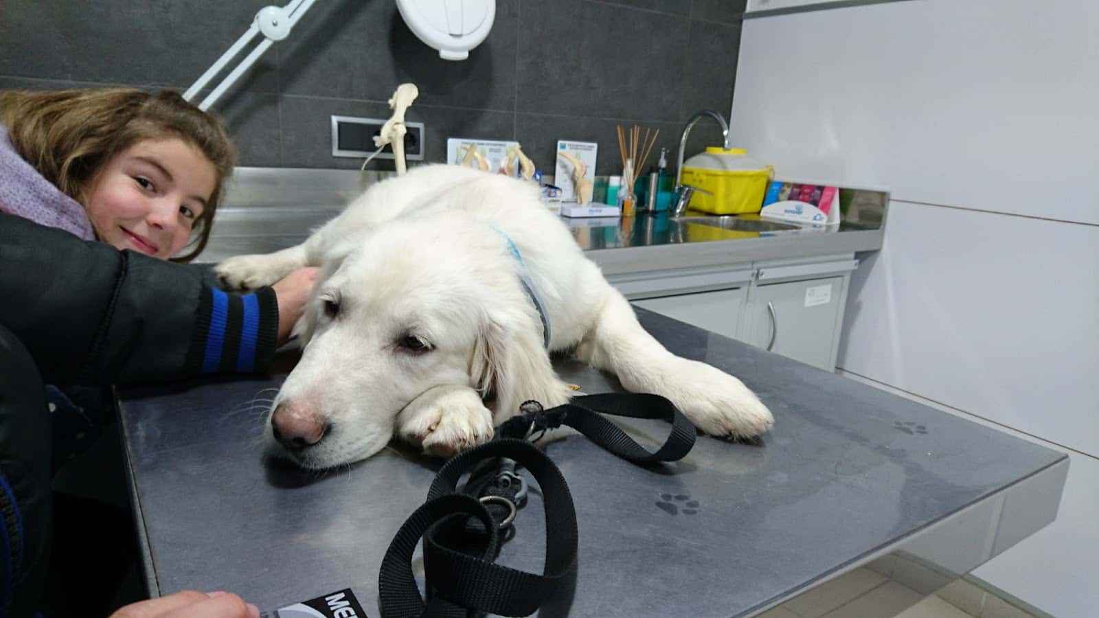 Clínica Veterinaria Santa Marta