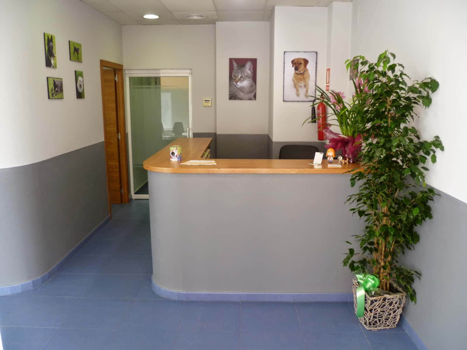 aurora centre veterinari veterinario centro en canet de mar en barcelona photo undefined ADOPTA Sitios Pet Friendly