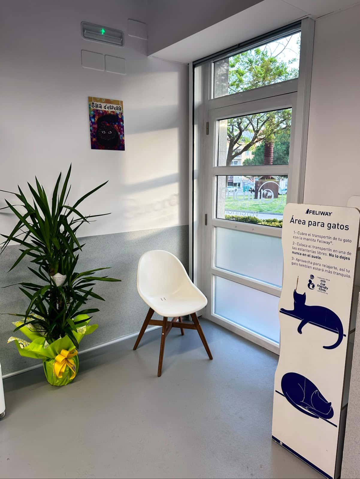Aurora Centre Veterinari