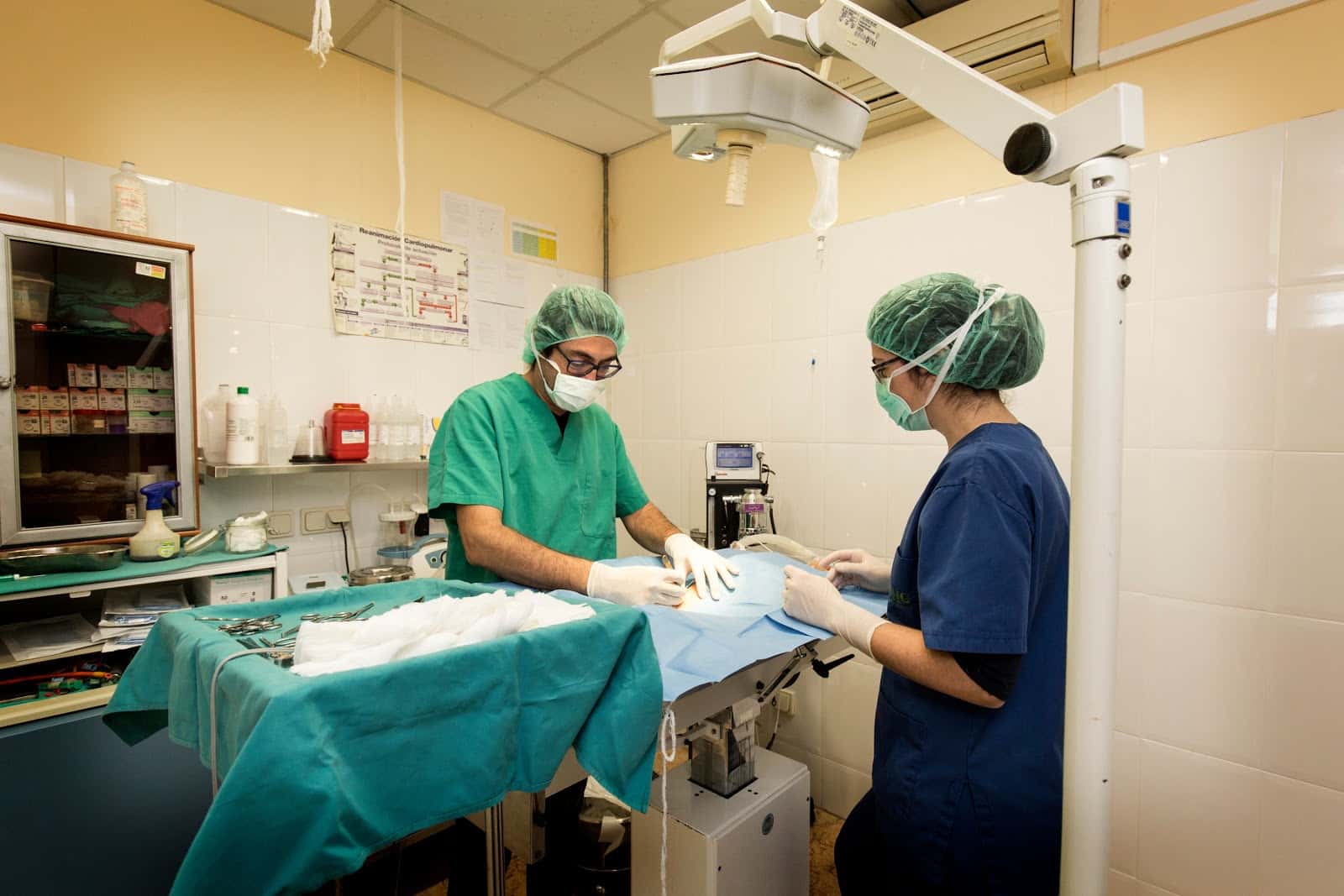 NG Centre Veterinari Calella