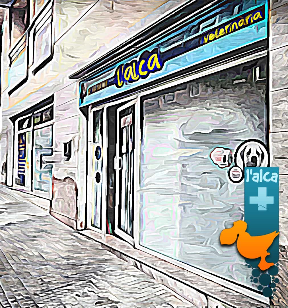 centre veterinari l alca veterinario centro en parets del valles en barcelona photo undefined ADOPTA Sitios Pet Friendly