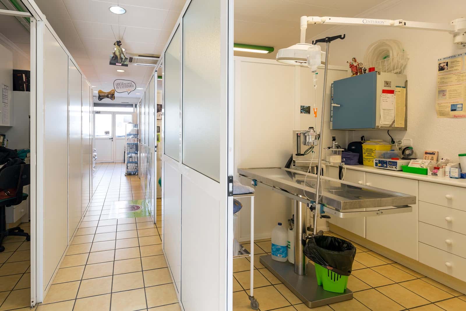 Clinica Veterinaria Sant Celoni