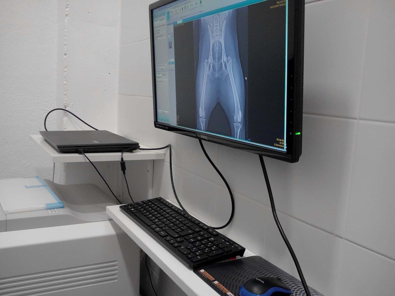 Centre Veterinari Riells