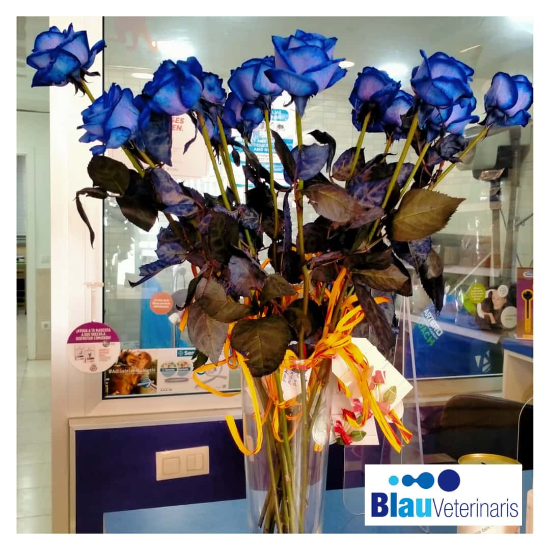 Blau Veterinaris Canet de Mar