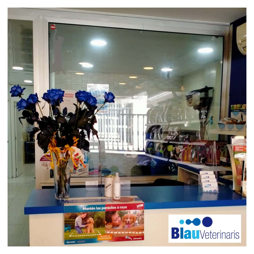 Blau Veterinaris Canet de Mar