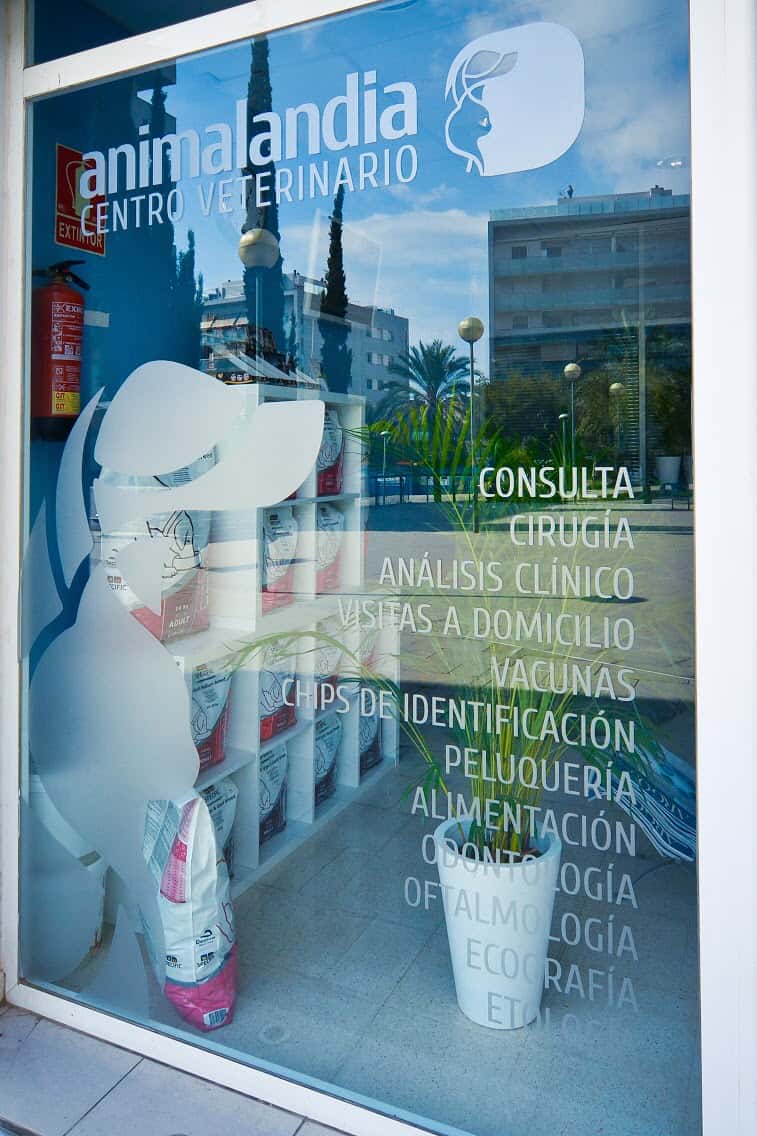 Veterinaria Animalandia