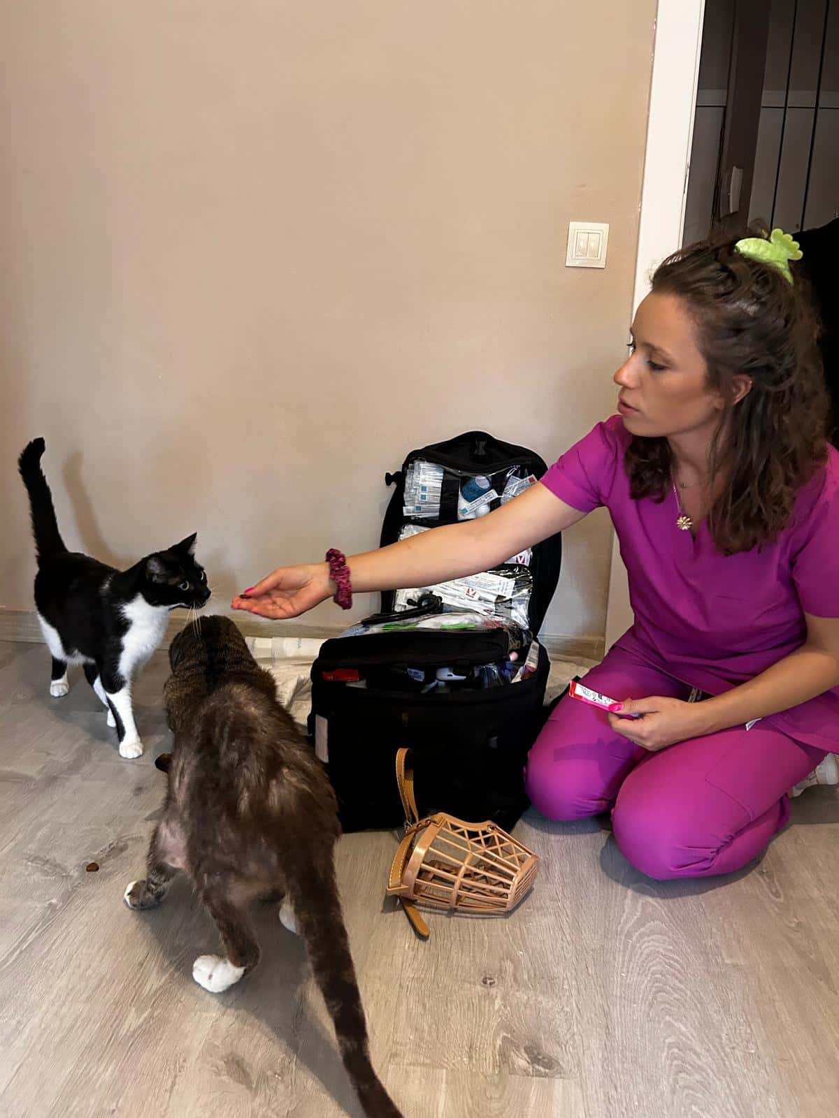 Susann Home Vet - Veterinaria a Domicilio