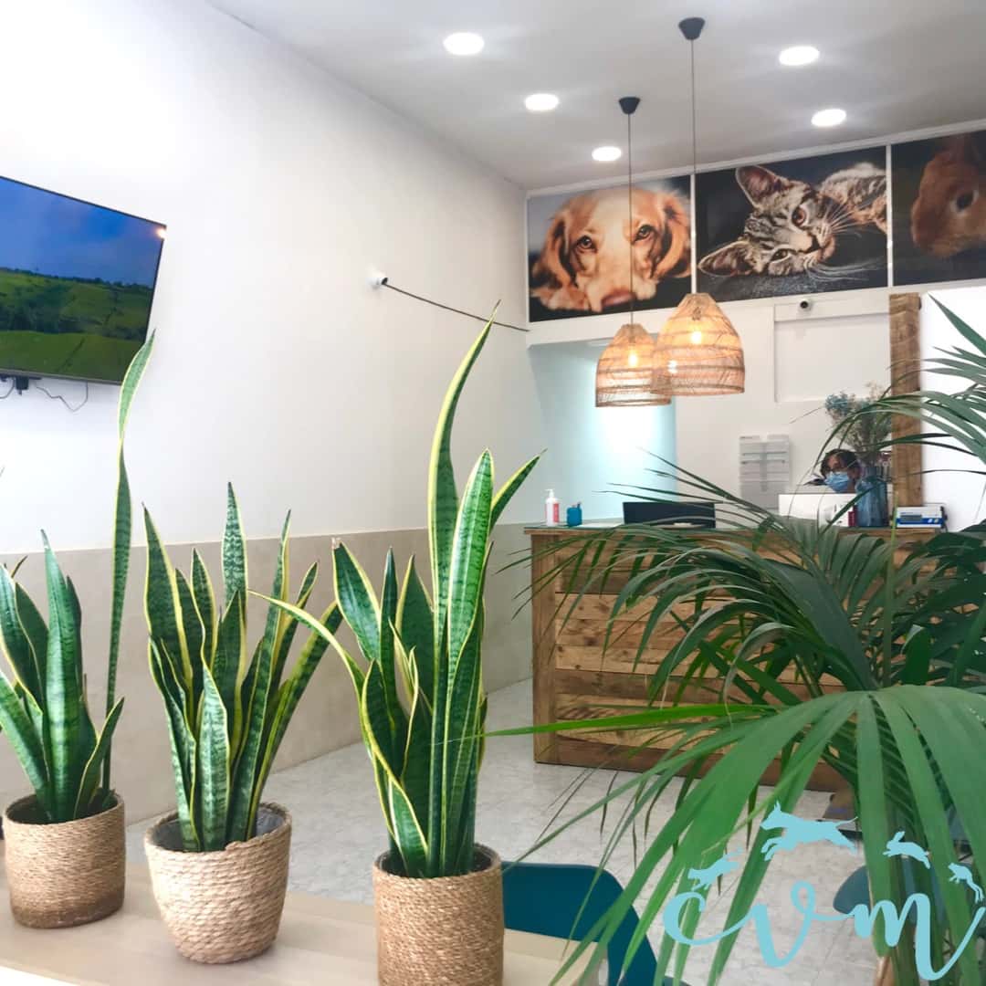 Clínica Veterinaria Mataró