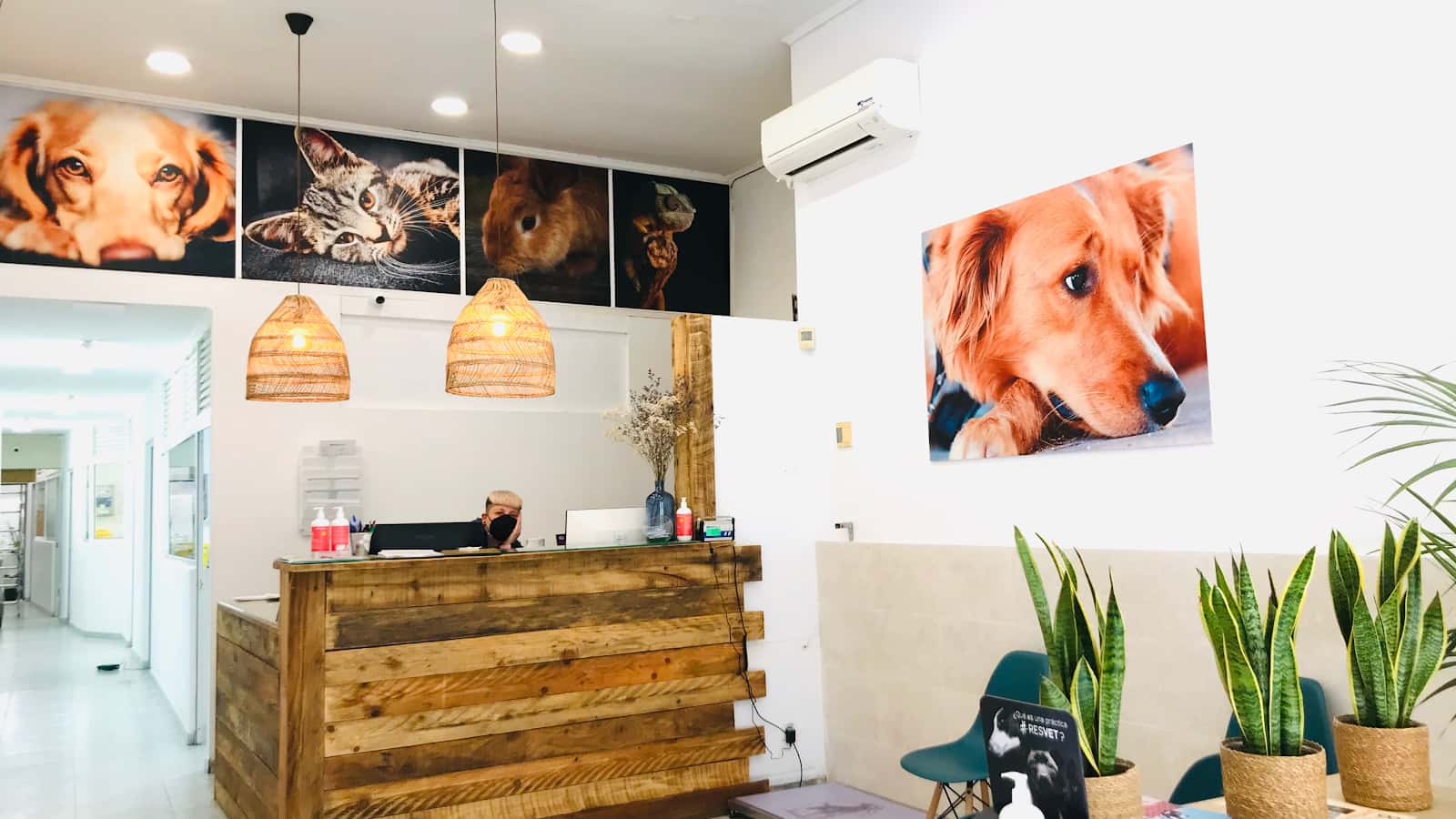 clinica veterinaria mataro veterinario clinica en mataro en barcelona photo undefined ADOPTA Sitios Pet Friendly