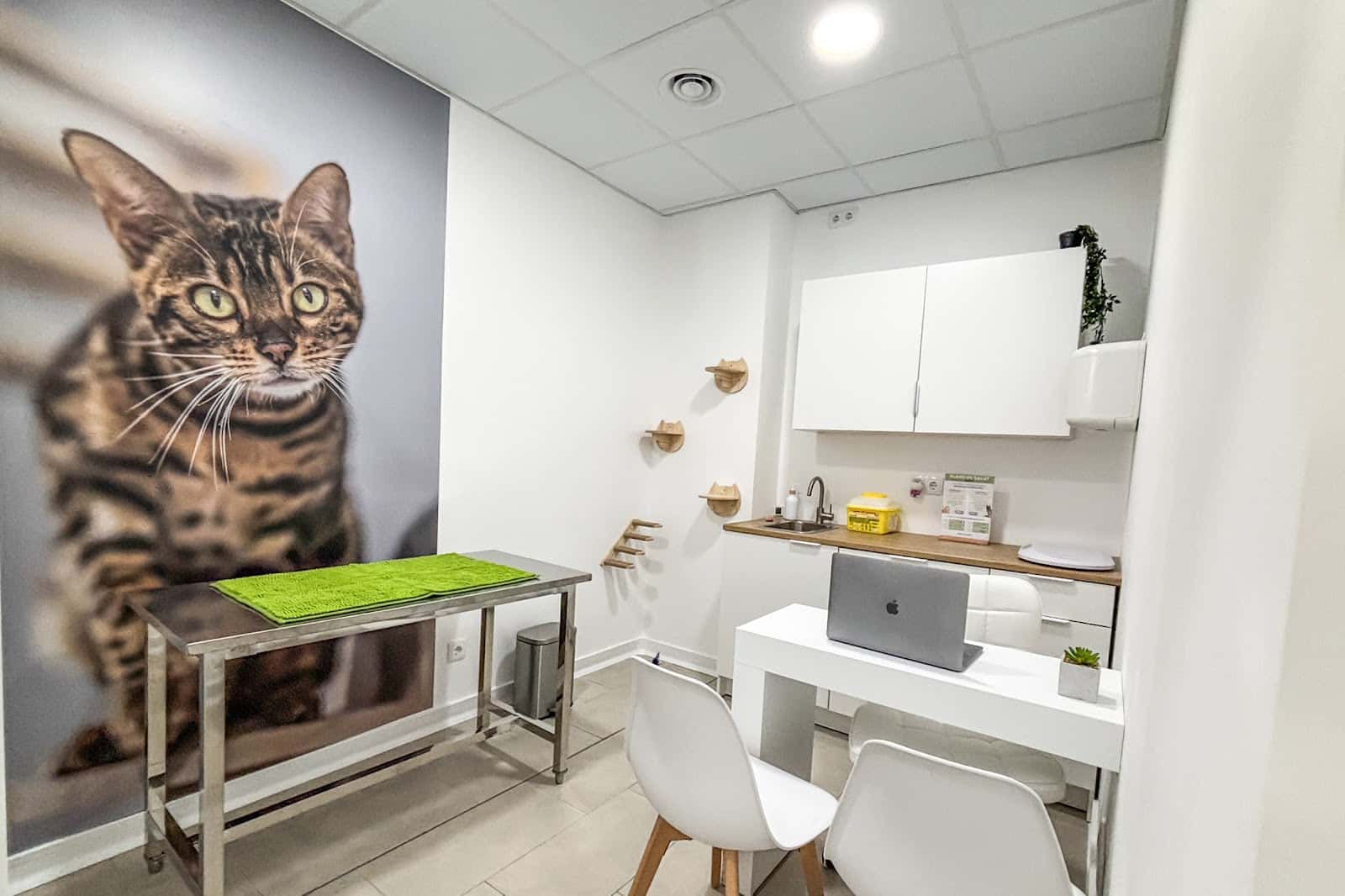 Vetpineda Clínica Veterinària