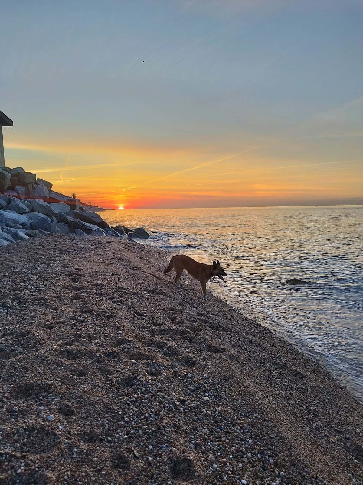 Centre Veterinari Rossinyol