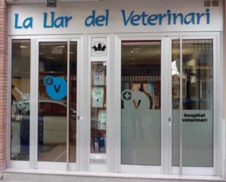 la llar del veterinari veterinario centro en granollers en barcelona principalImage ADOPTA Sitios Pet Friendly