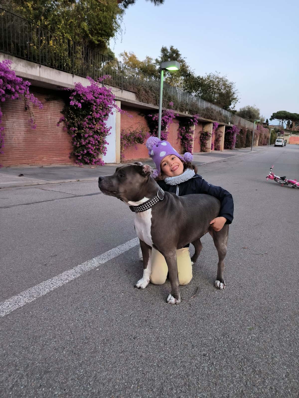 Blau Veterinaris Argentona