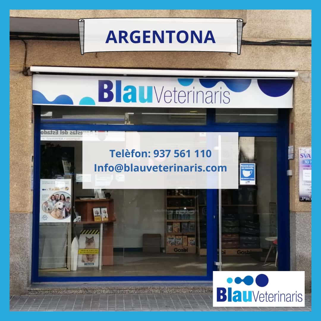 blau veterinaris argentona veterinario centro en argentona en barcelona principalImage ADOPTA Sitios Pet Friendly