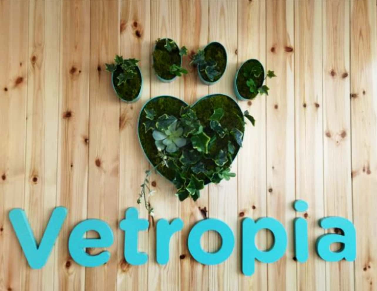 Vetropía Veterinaria