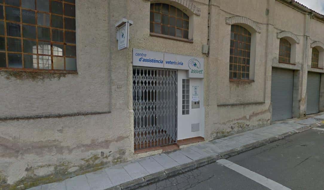 centre d  assistencia veterinaria assvet veterinario centro en santa coloma de queralt en tarragona principalImage ADOPTA Sitios Pet Friendly