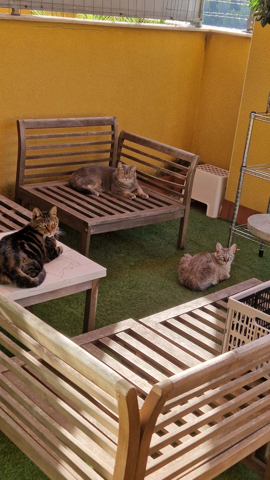 Clínica Veterinària Sant Fruitós