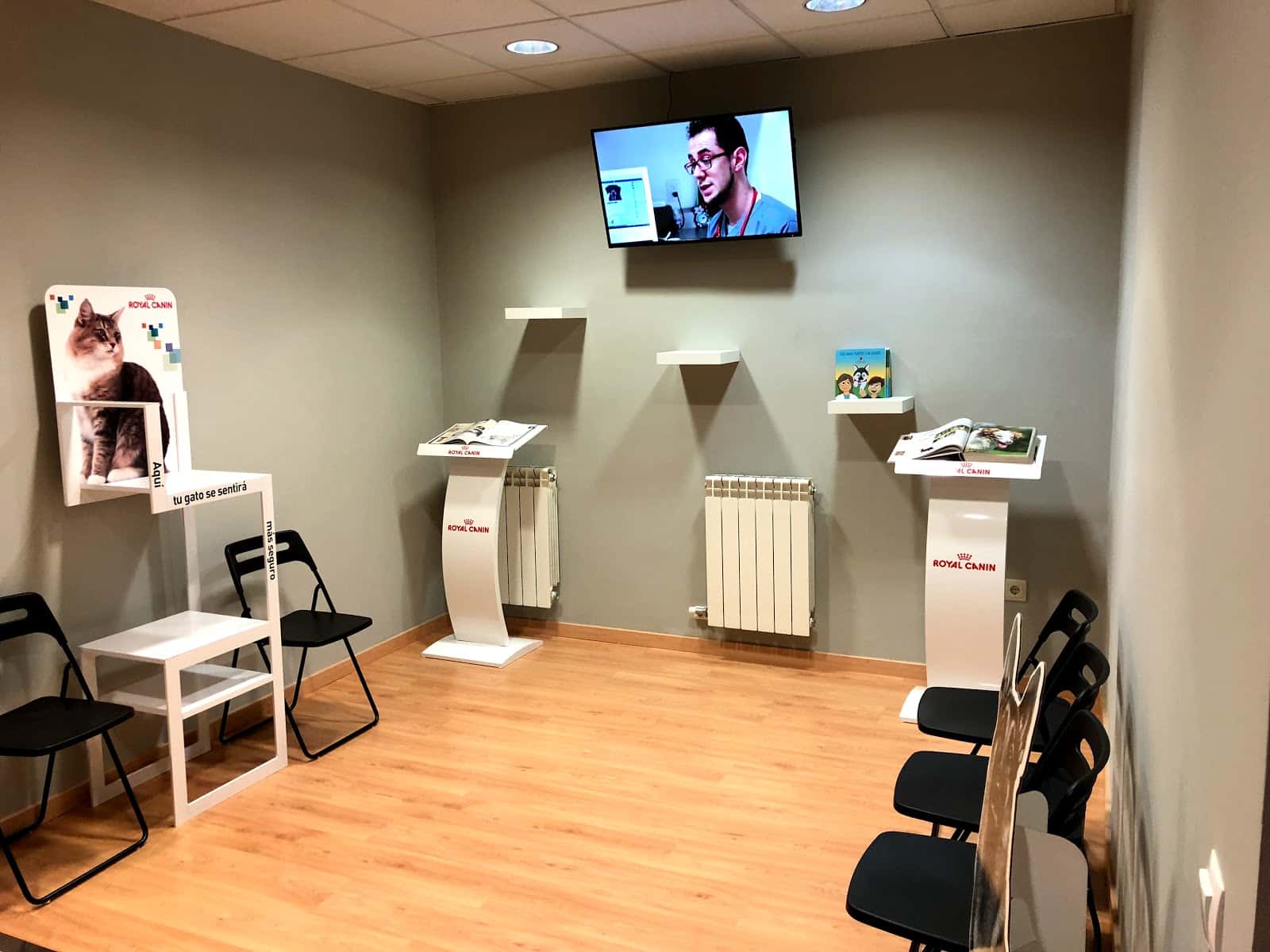 animalia clinica veterinaria veterinario clinica en sant fruitos de bages en barcelona principalImage ADOPTA Sitios Pet Friendly