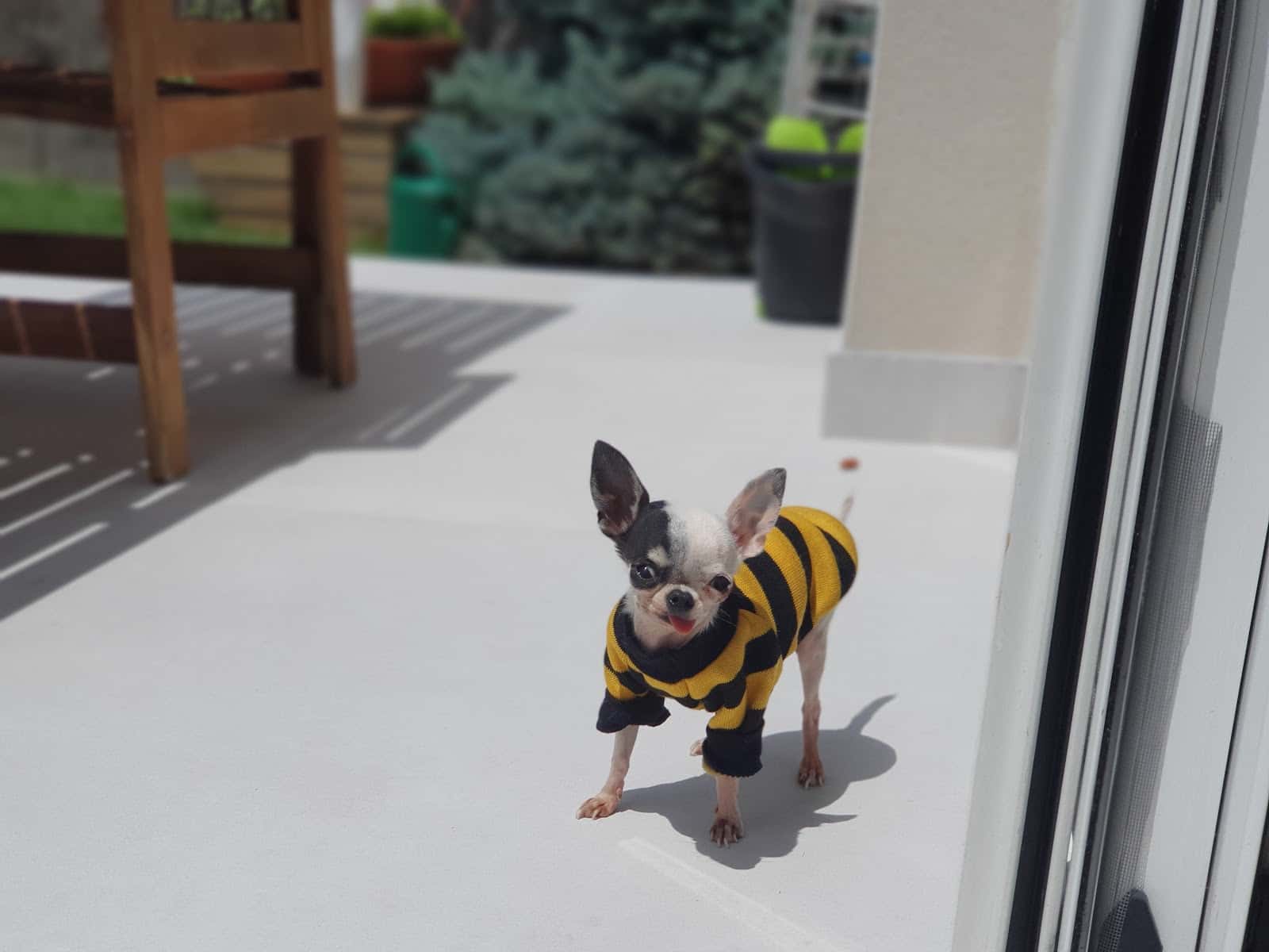 Clínica veterinària Veter 7 - Av. Dolors (Manresa)