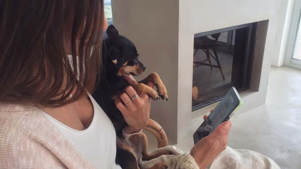 vetonline   veterinario por videollamada veterinario centro en manresa en barcelona principalImage ADOPTA Sitios Pet Friendly