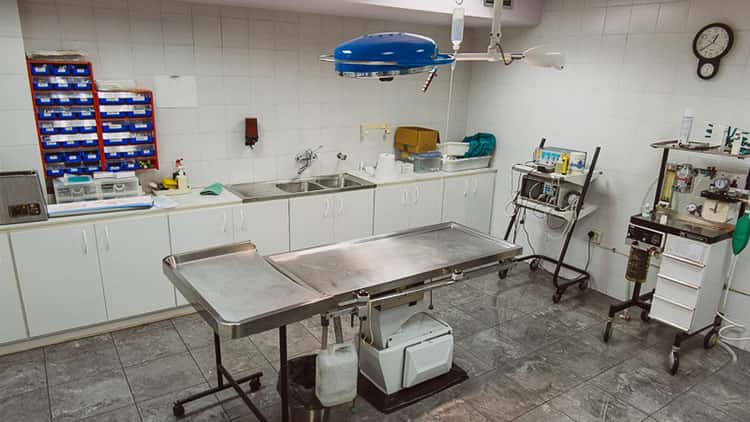 clinica veterinaria del bages veterinario clinica en manresa en barcelona principalImage ADOPTA Sitios Pet Friendly
