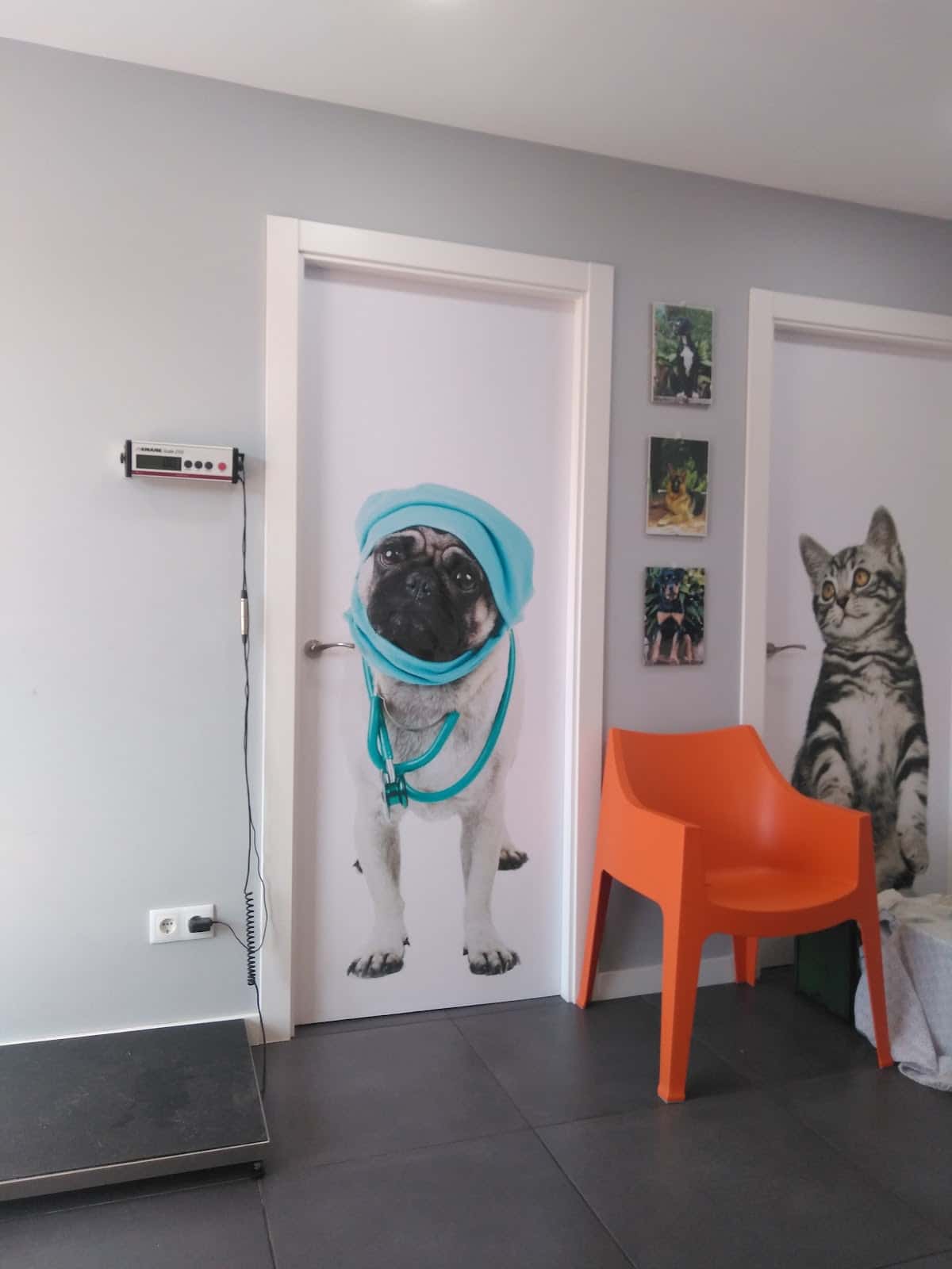 Clínica Veterinària SVSANA