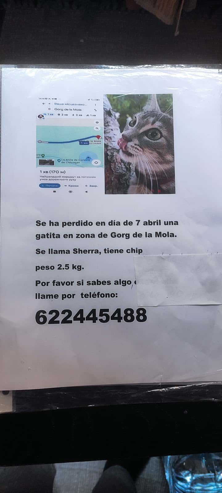 Clínica Veterinària SVSANA