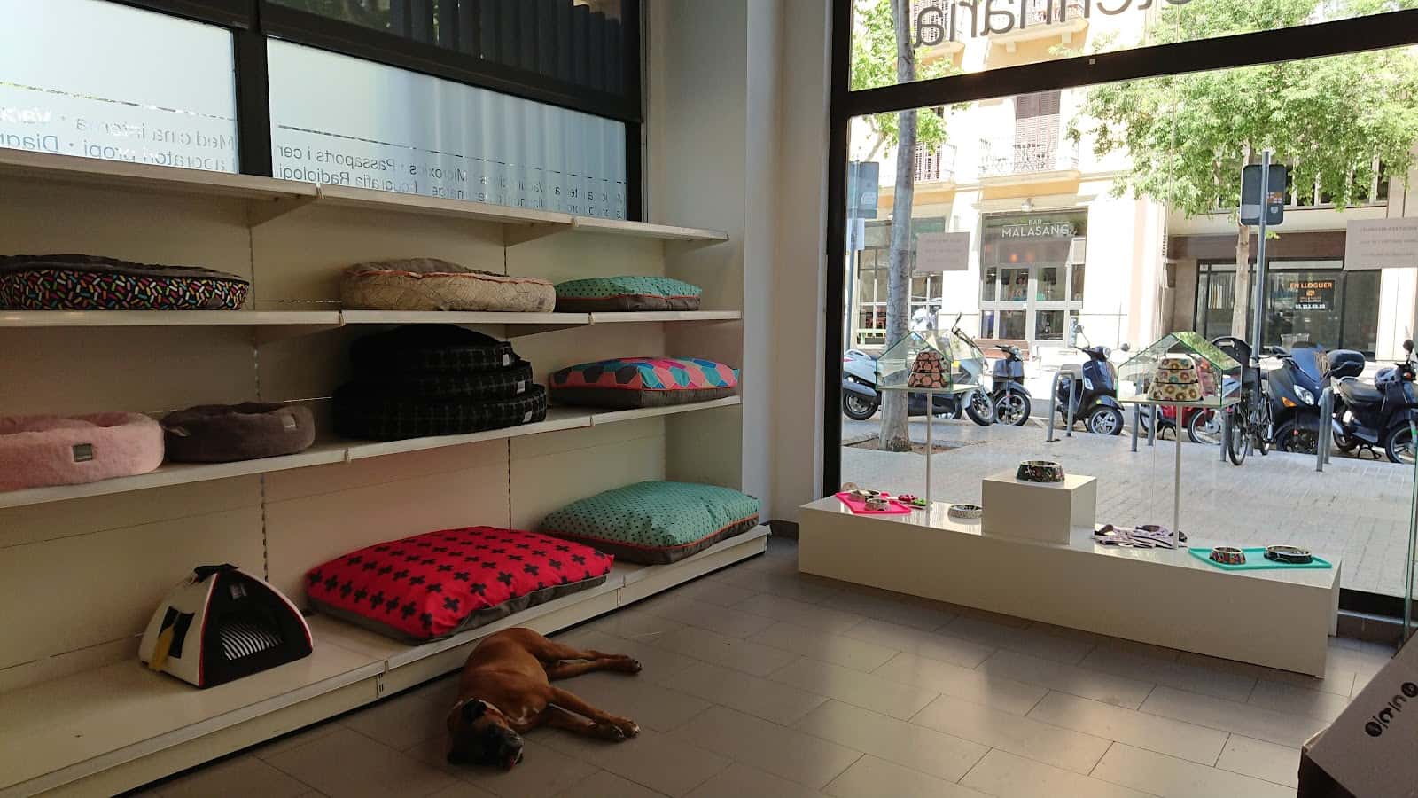 Clínica Veterinària Borrell