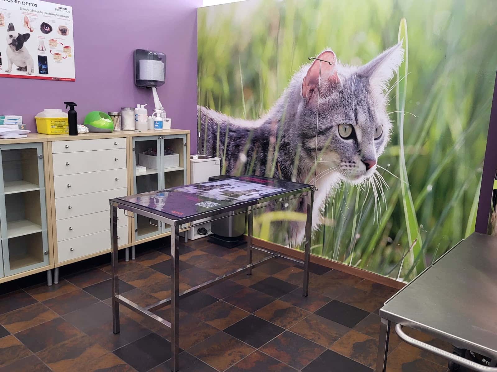Clínica Veterinaria Exivet