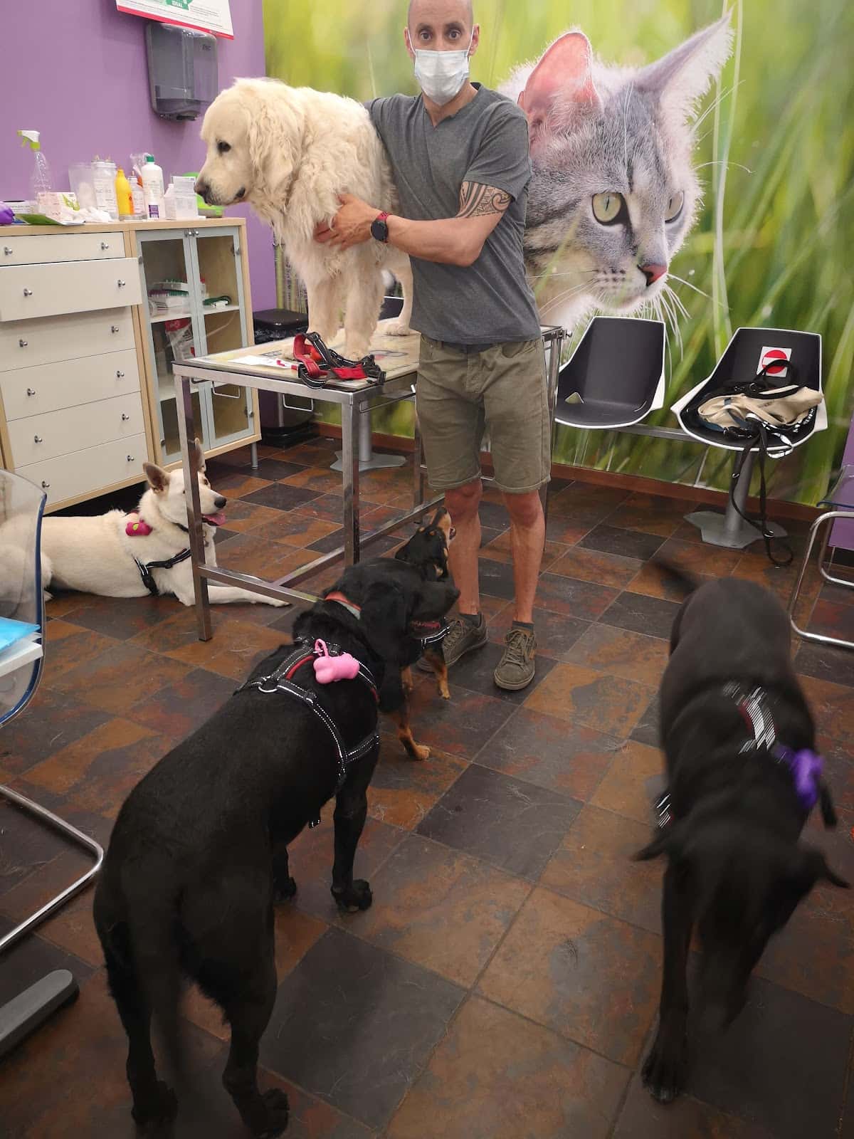 Clínica Veterinaria Exivet