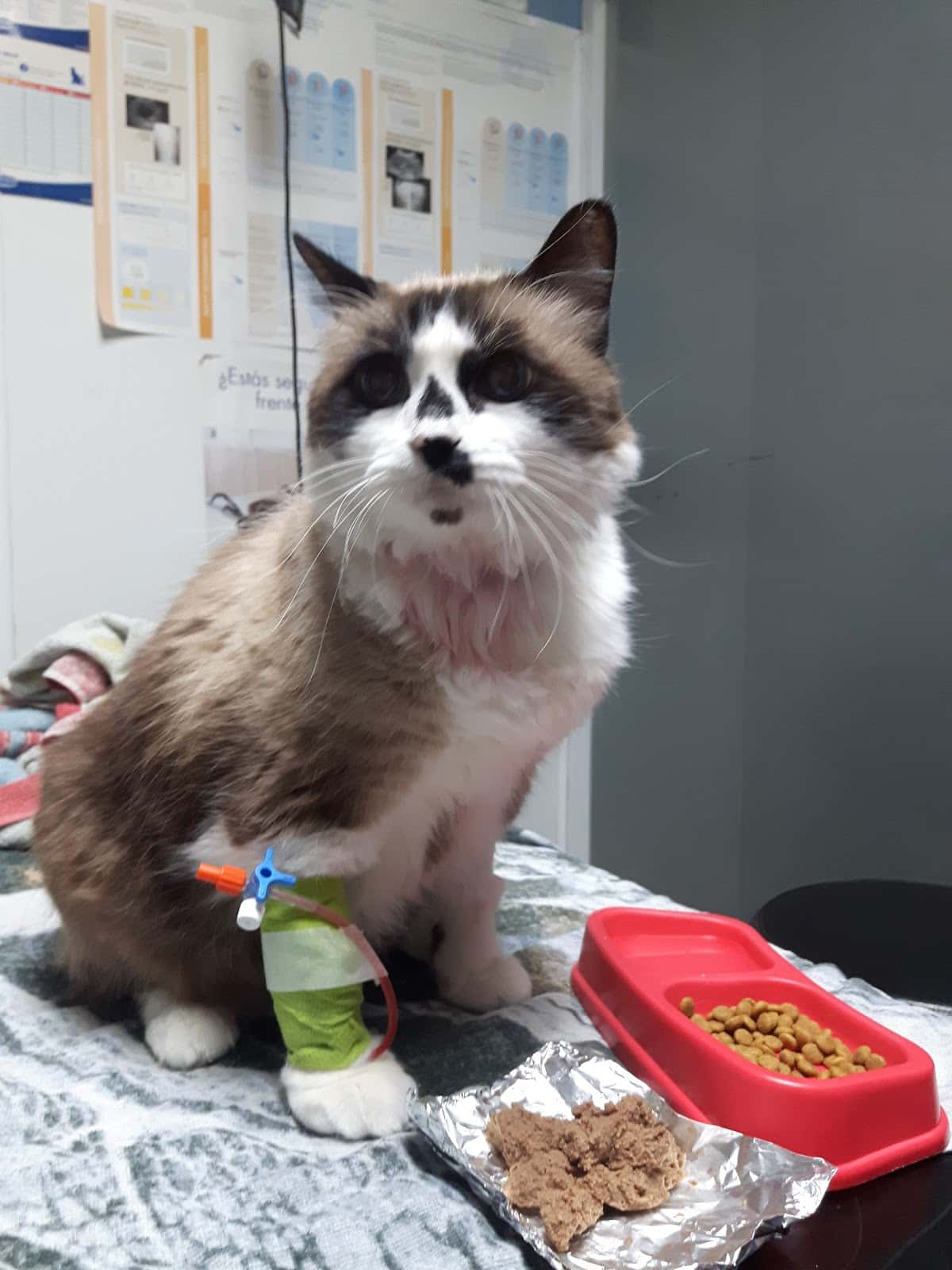 Hospital Veterinari de Sabadell