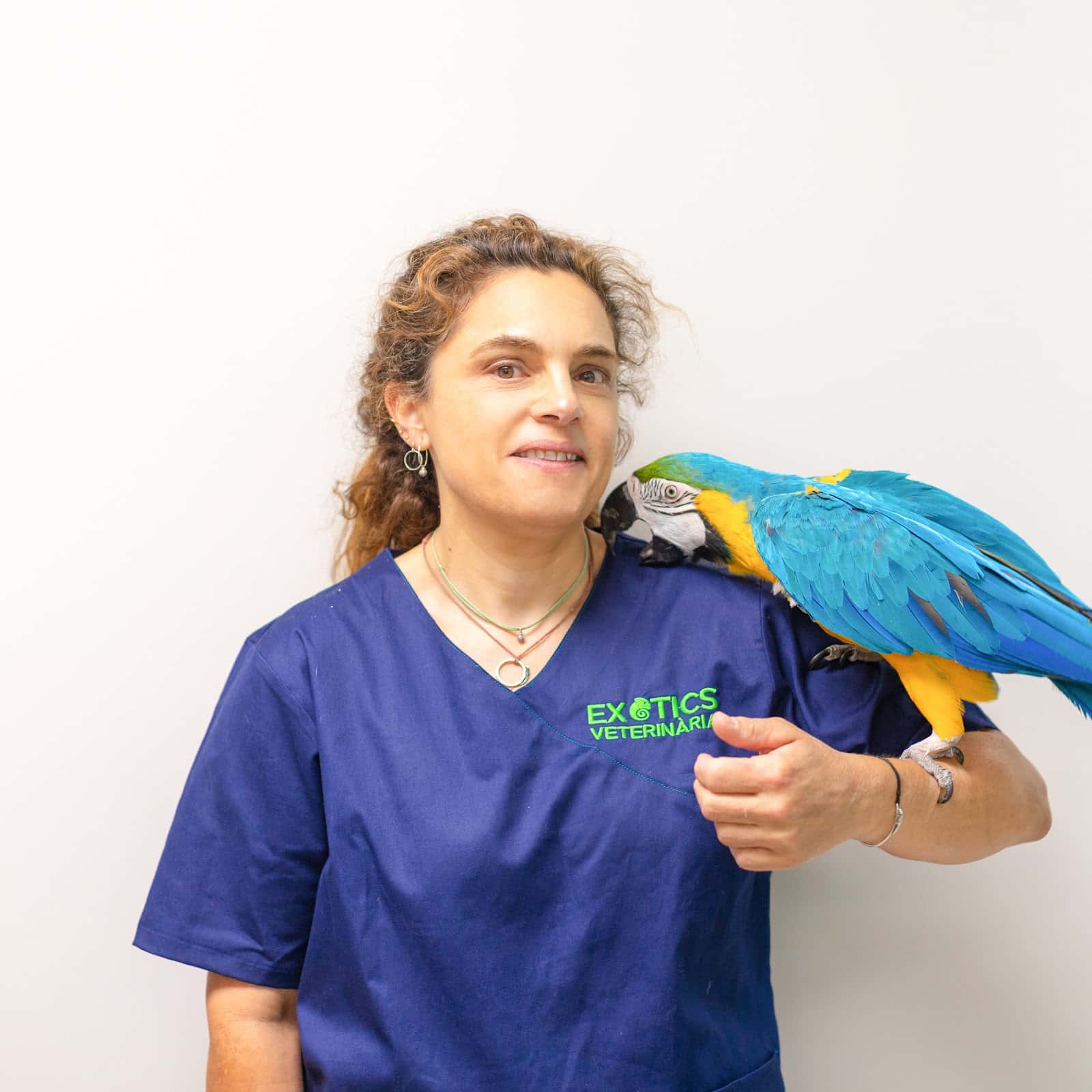 exotics veterinaria veterinario centro barrio sarria sant gervasi en barcelona en barcelona principalImage ADOPTA Sitios Pet Friendly