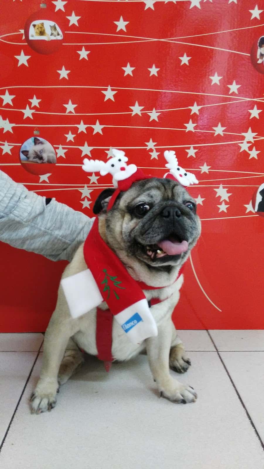Centre Veterinari La Creu
