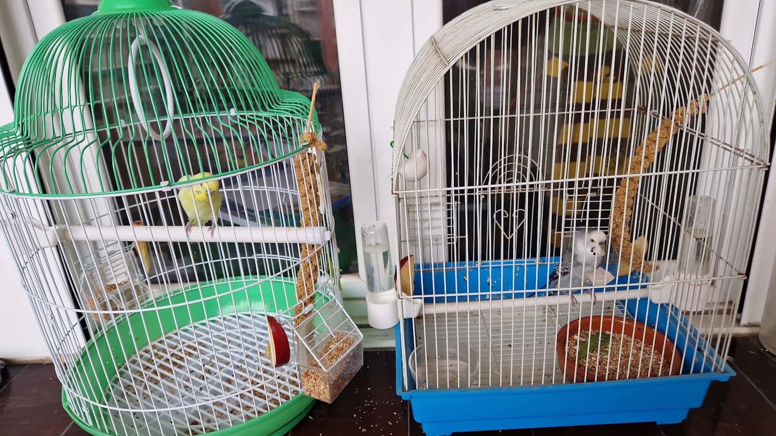 Vetex, Centro Veterinario de Animales Exóticos