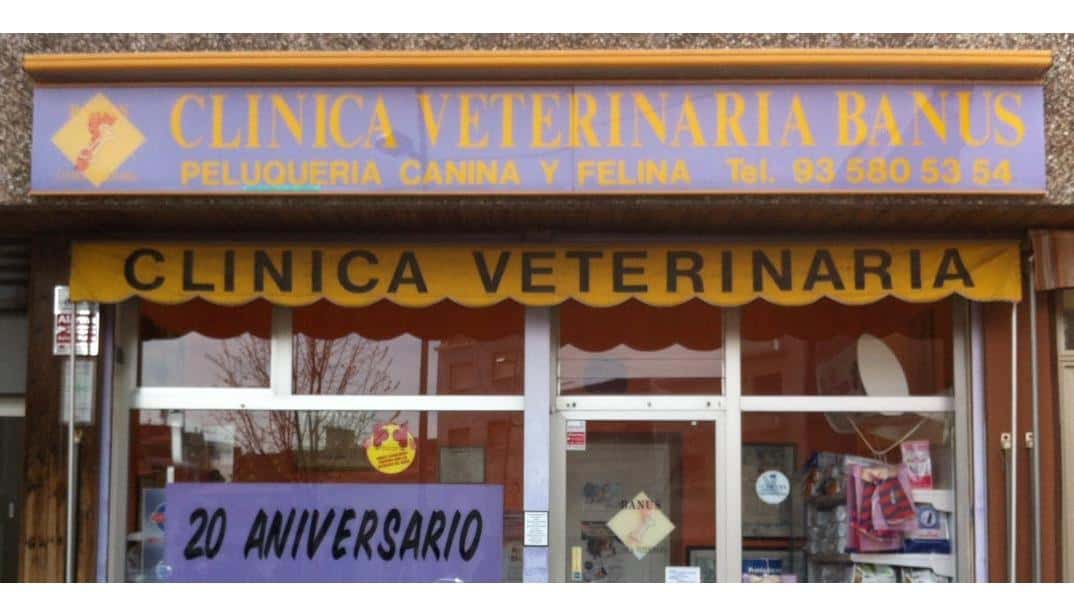 clinica veterinaria banus veterinario clinica en cerdanyola del valles en barcelona principalImage ADOPTA Sitios Pet Friendly