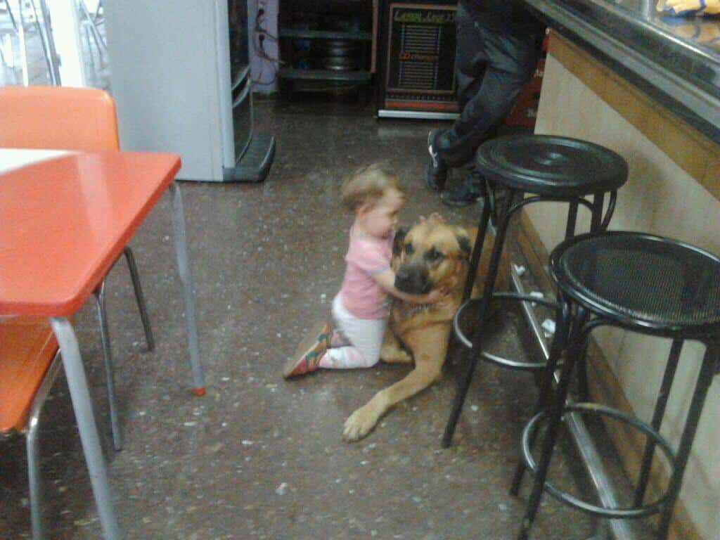 La Salut, Centre Veterinari (Sabadell)