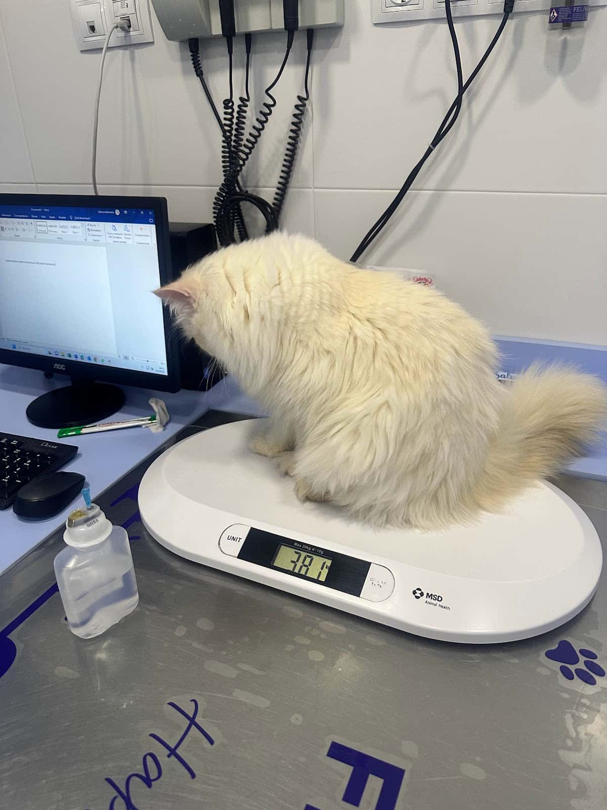 Clínica Veterinària Amadeu Vidal