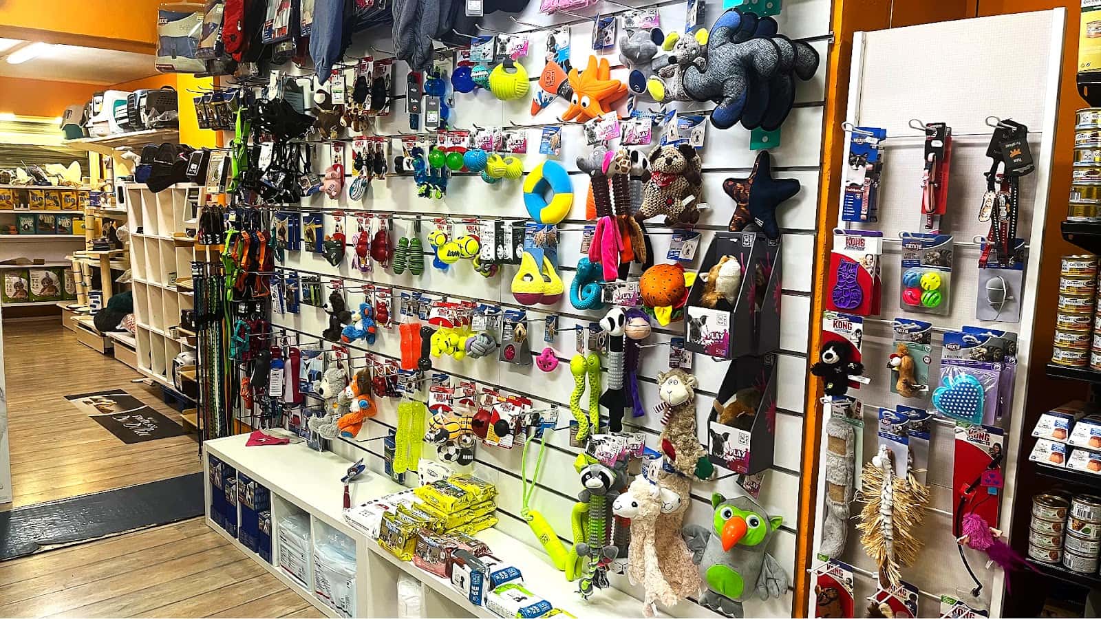 Animal Style Montserrat