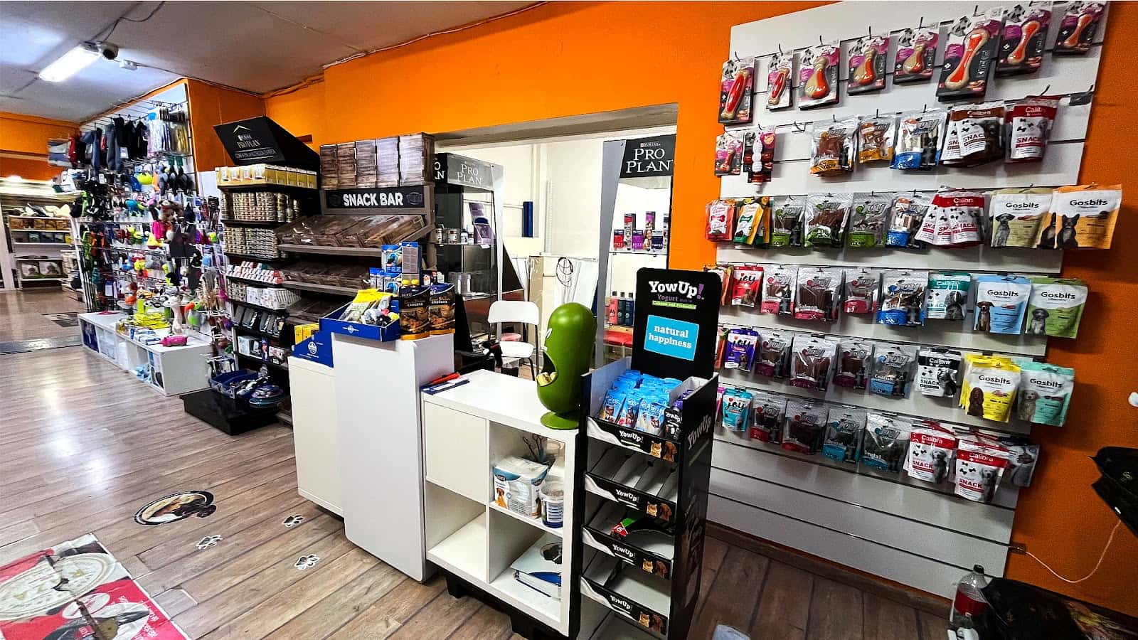 Animal Style Montserrat