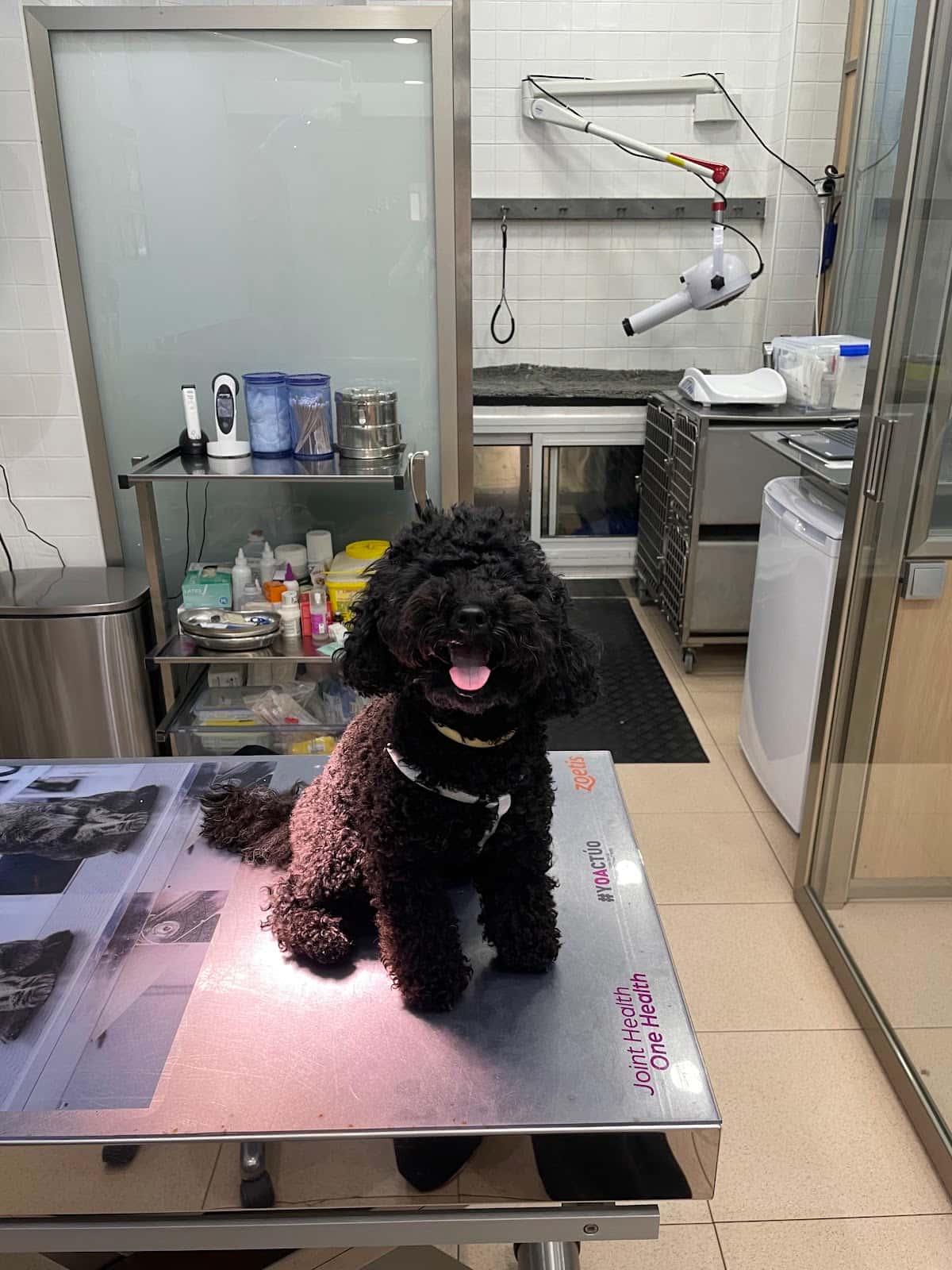 Clínica Veterinària Miquel Janer