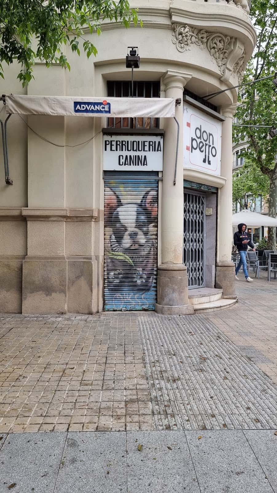 Don Perro