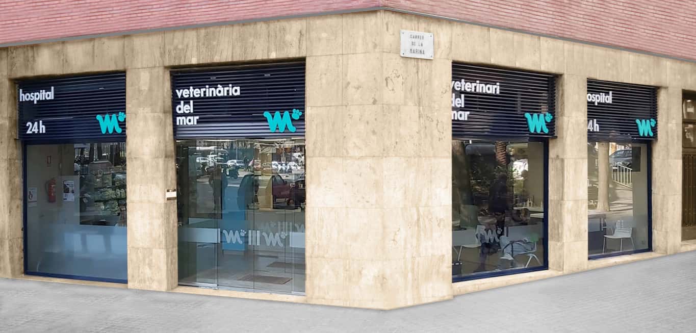 hospital veterinaria del mar veterinario hospital barrio sant marti en barcelona en barcelona principalImage ADOPTA Sitios Pet Friendly