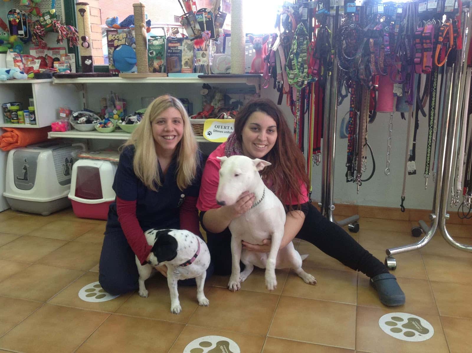 Dispensari Veterinari del Vallès