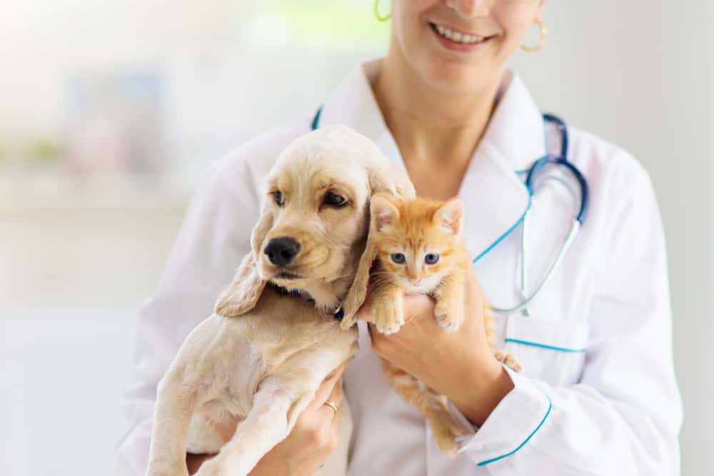 Clínica Veterinària Natura