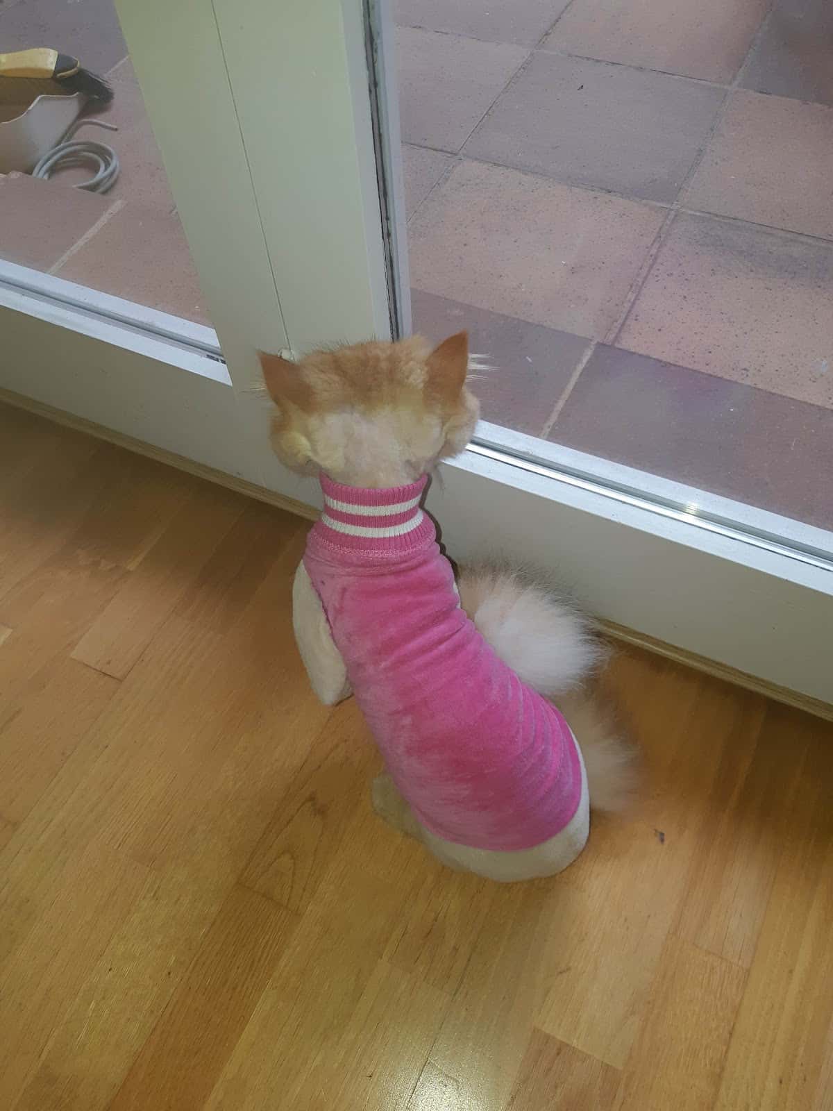 Clínica Veterinària Natura