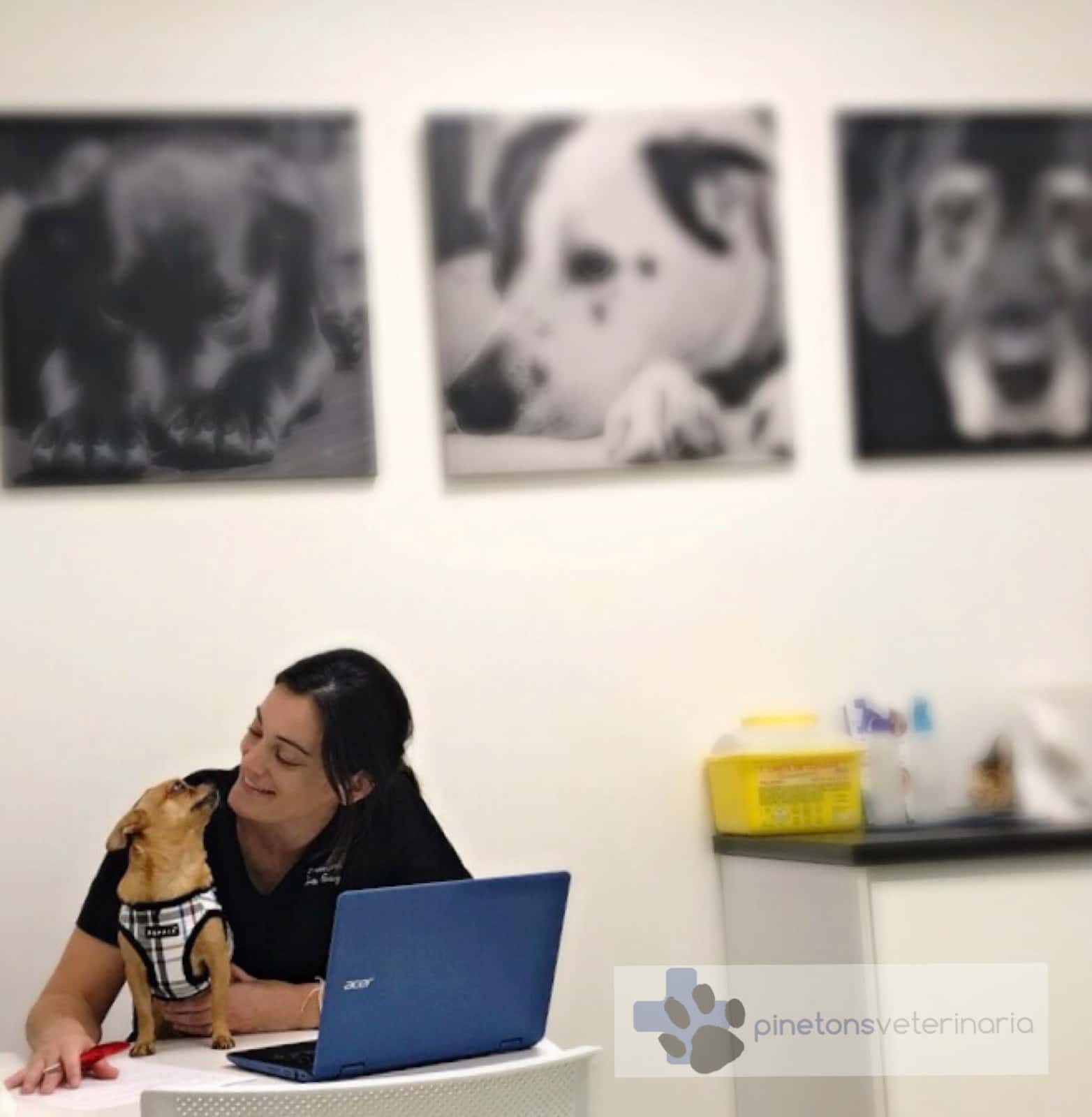 pinetons veterinaria veterinario centro en ripollet en barcelona principalImage ADOPTA Sitios Pet Friendly